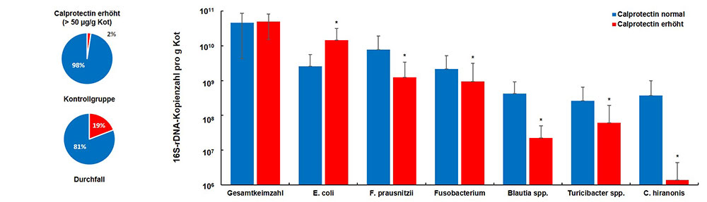 Laboklin: Prävalenzen von erhöhten fäkalen Calprotectin-Werten bei Hunden mit Durchfall im Vergleich zu unauffälligen Tieren (links) und Mikroflorazusammensetzung bei Hunden mit angezeigten inflammatorischen Schleimhautveränderungen im Vergleich zur Kontrollgruppe. (n=25, p