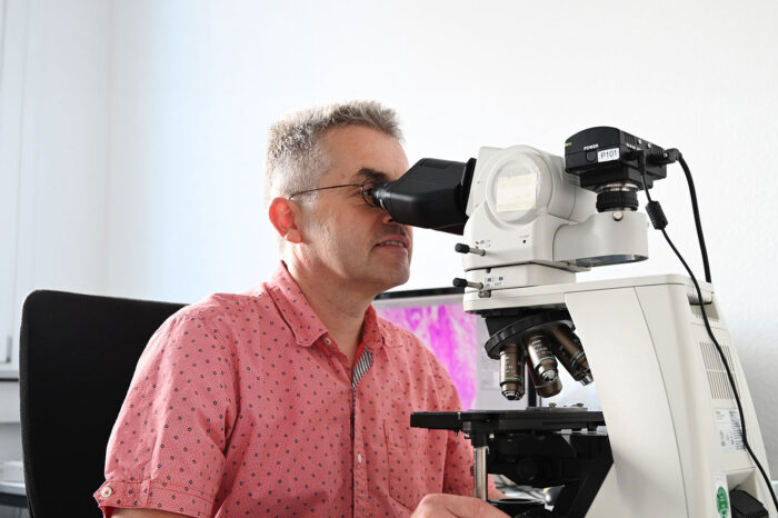 header tierarzt patho