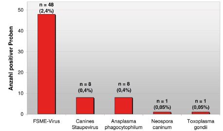 Laboklin: Nachweishäufigkeit von FSME-Antikörpern mittels Enzym-Immunoassay (Gesamtzahl n=1969) sowie CDV, A. phagocytophilum, N. caninum und T. gondii mittels PCR (Gesamtzahl n=1983) im Liquor cerebrospinalis von Hunden.