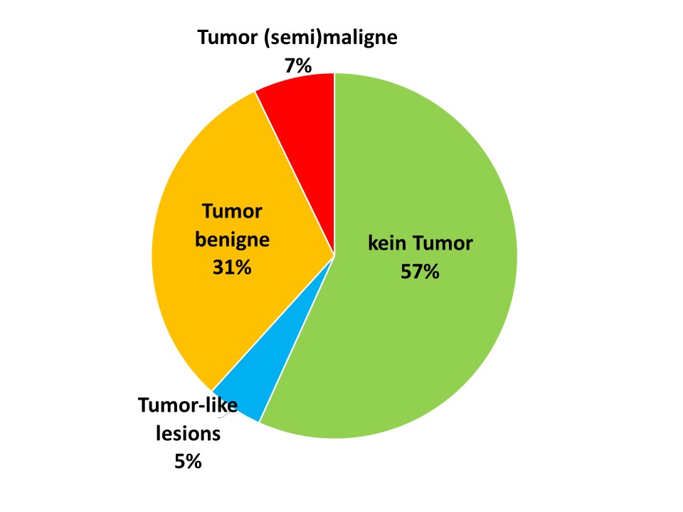 Laboklin: Anteil der Diagnosen „kein Tumor“,  „tumor-like lesions“, und „benigne Tumoren“ bzw. „(semi)maligne Tumoren“ bei Hunden im Alter ≤ 3 Jahre im Untersuchungsgut von LABOKLIN (2016 – 2019)