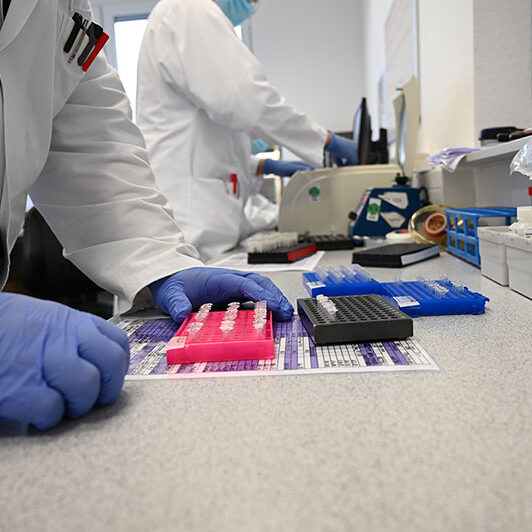 laborhilsfkraft mikrobiologie