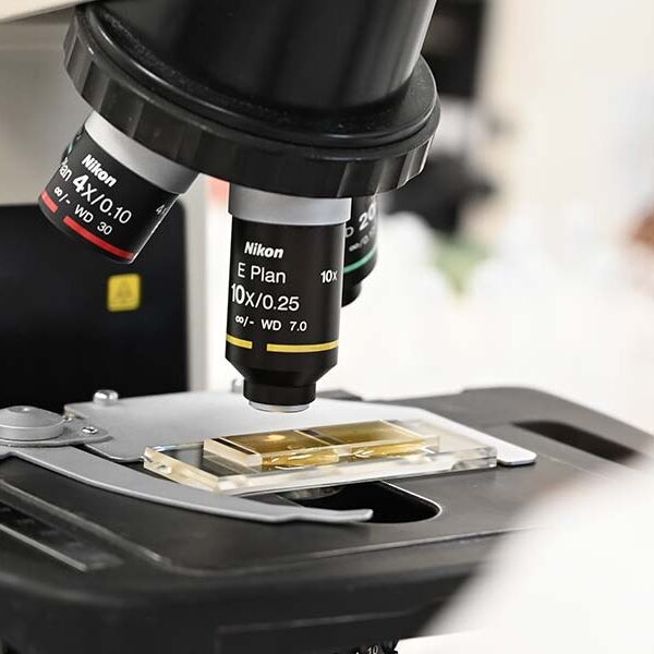 pathologie01 kg header