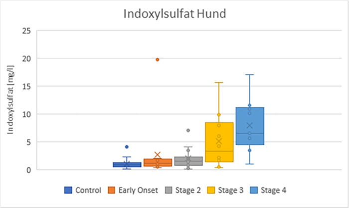 Laboklin: Indoxylsulfat-Konzentrationen bei Hunden mit CNE, abhängig vom IRIS-Stadium
