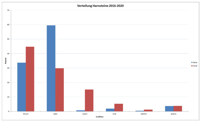 Laboklin: Laboklin Rachentupferentnahme bei einer Griechischen Landschildkröte
