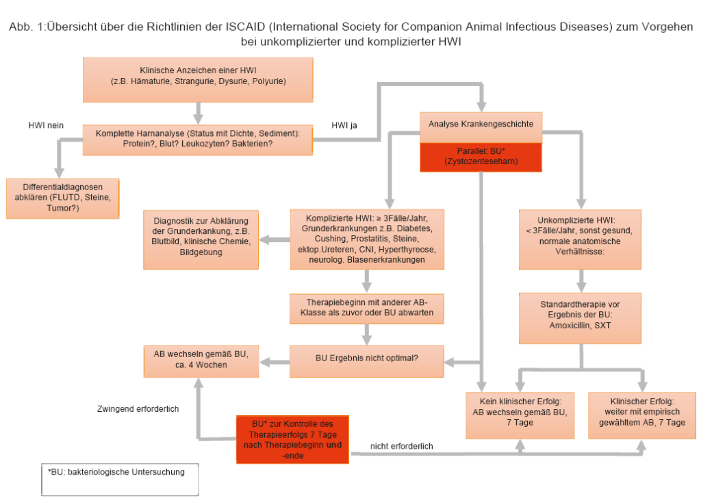 Laboklin: Übersicht über die Richtlinien der ISCAID (International Society for Companion Animal Infectious Diseases) zum Vorgehen bei unkomplizierter und komplizierter HWI