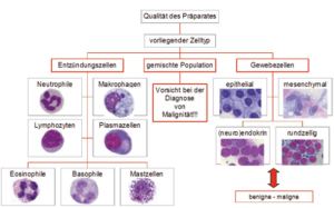 puso kahalagahan kalusugan