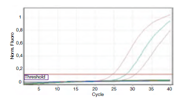 Laboklin: Fluoreszenzkurven einer realtime-PCR: bei ansteigender Kurve konnte der gesuchte Erreger im Probenmaterial nachgewiesen werden.