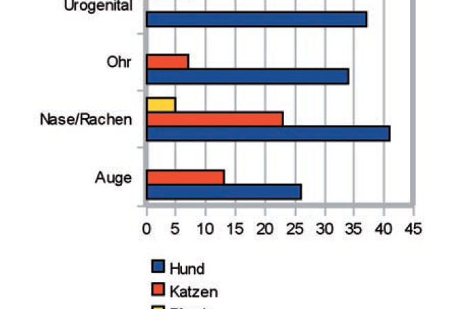 Laboklin: Herkunft positiver Anaerobiernachweise