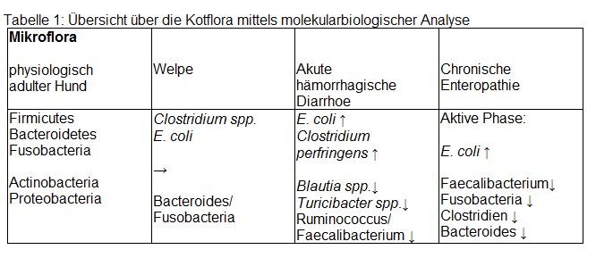 Laboklin: Übersicht über die Kotflora mittels molekularbiologischer Analyse