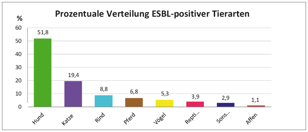 Laboklin: Prozentuale Verteilung ESBL-positiver Tiere (n=180)