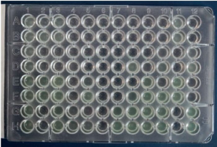 Laboklin: Bouillon-Mikrodilution