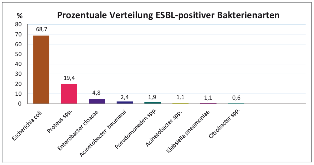 Laboklin: Prozentuale Verteilung ESBL-positiver Bakterienarten (n=180)