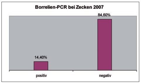 Laboklin: Borrelien PCR bei Zecken