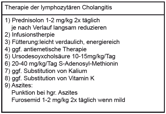 Laboklin: Therapie der lymphozitären (2 x y) Cholangititis