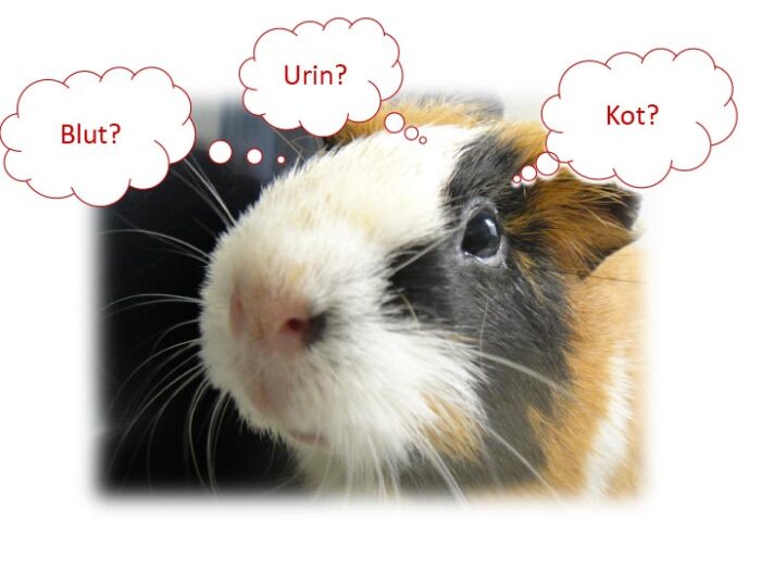 la aktuell kleinsaeuger 02.2025