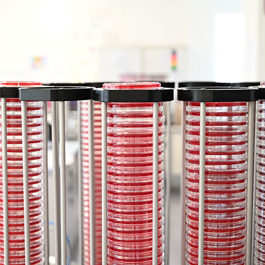 laborhilskraft autoklavieren