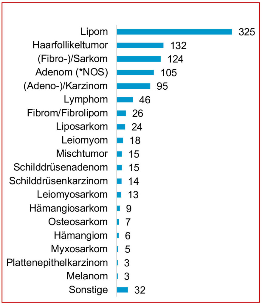 Tumor,Meerschweinchen,Spontantumoren,retrospektive Auswertung von Tumoren,Tumorlokalisationen