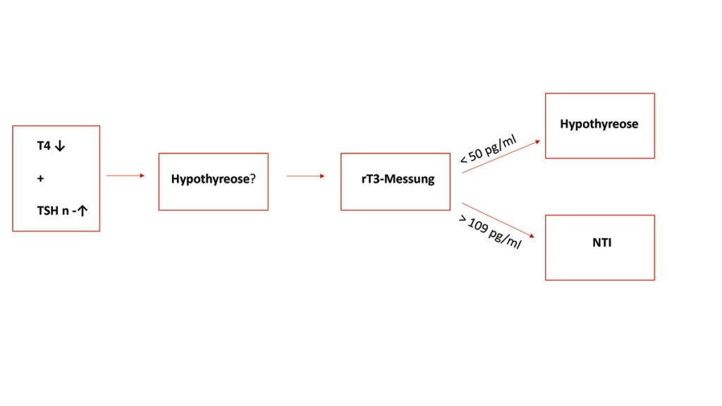Diagnostischer Leitfaden für rT3