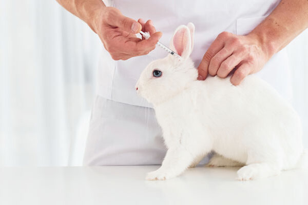 impfung hase fsg4225 web