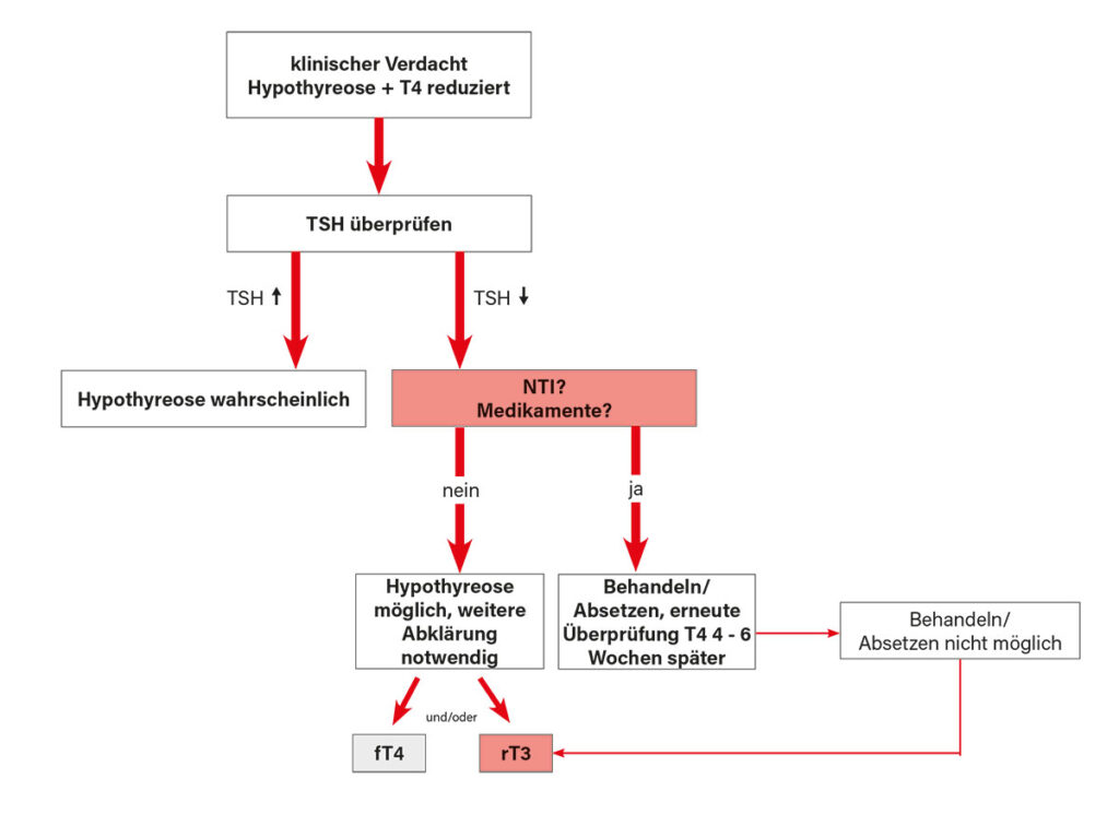 Initiale Abklärung einer reduzierten T4-Konzentration im Blut
