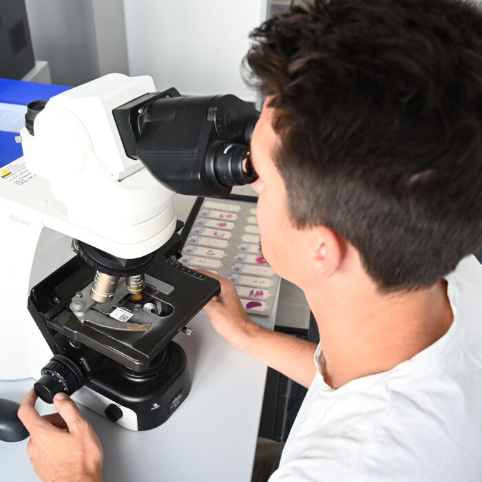 promotionsstelle edna methodenoptimierung