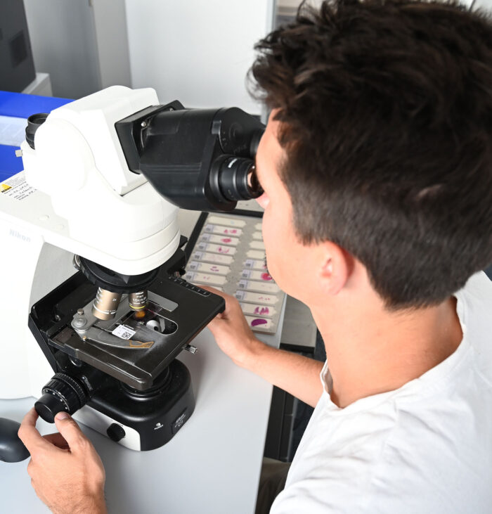 promotionsstelle edna methodenoptimierung