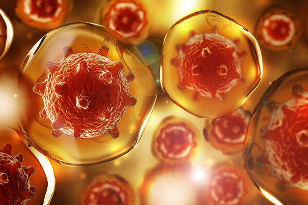 bakterien fsg1126 web