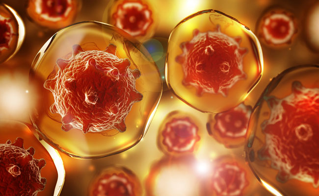 bakterien fsg1126 web