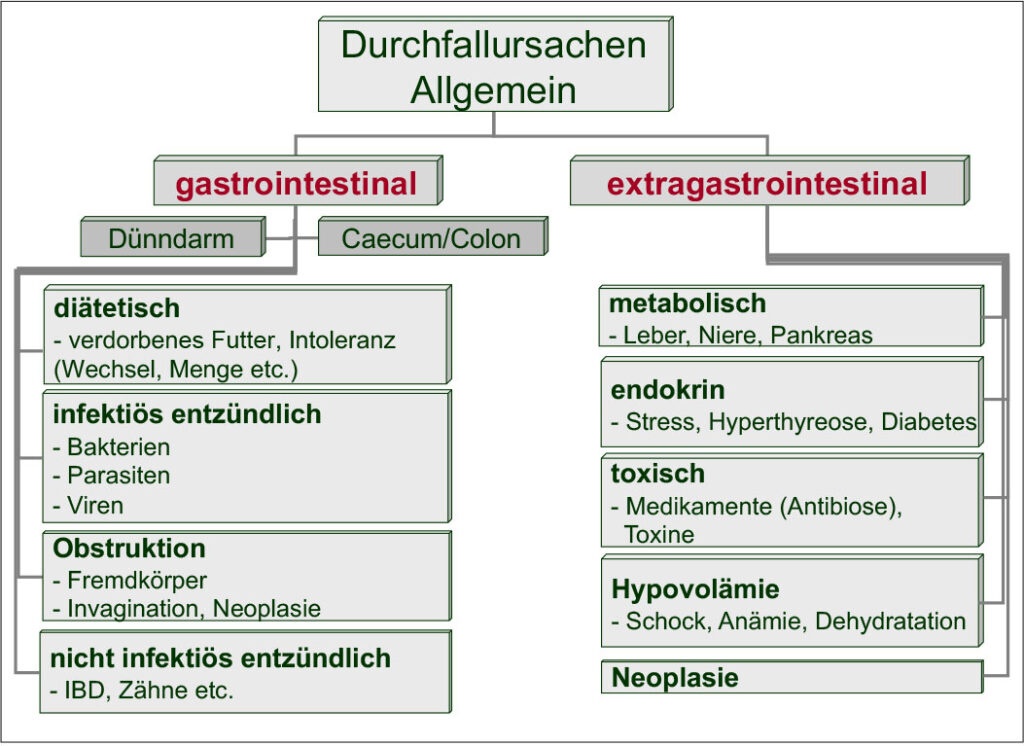 Durchfallursachen bei Kleinsäugern allgemein