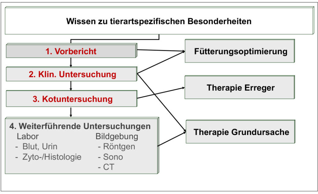 Systematische Durchfallaufarbeitung