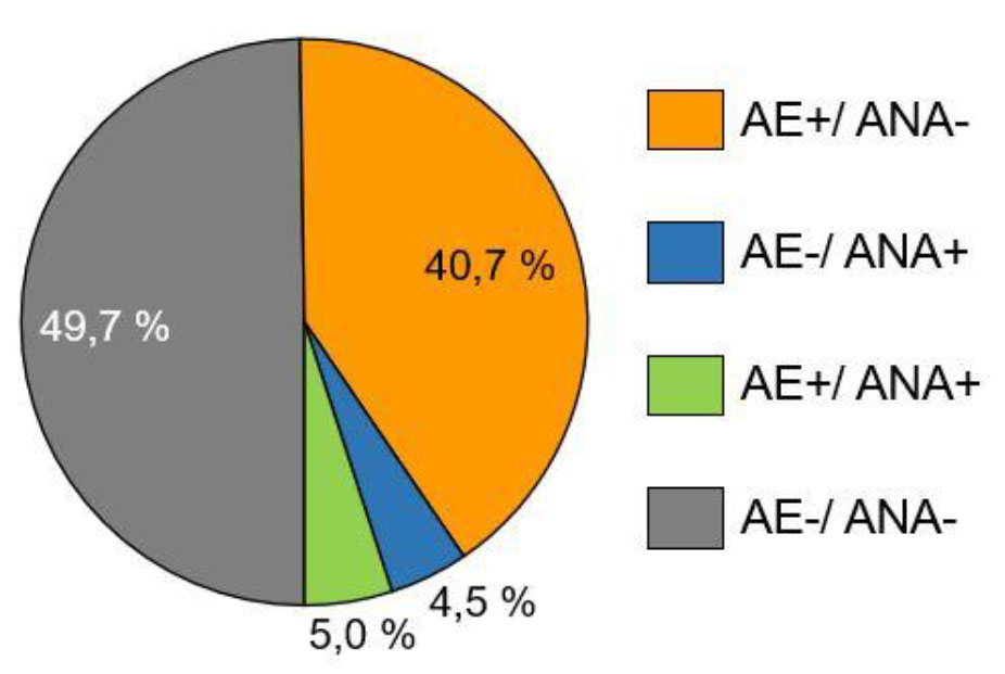 Anteil bakteriologisch positiver und negativer Proben von Pferden (%) bezogen auf die Gesamtprobenzahl. Aufteilung in aerobe (AE) und anaerobe (ANA) Kultur (n = 199 Blutproben).