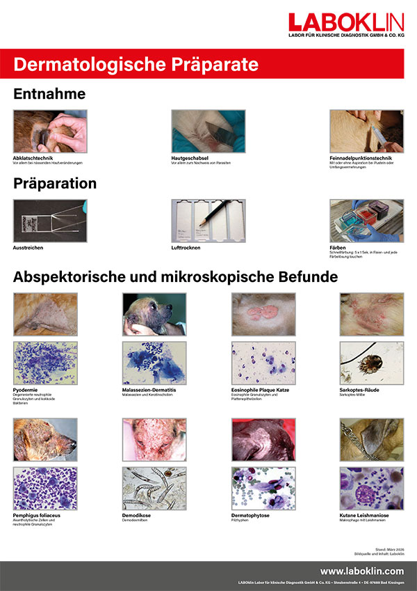 poster dermatologische praeparate 03 26