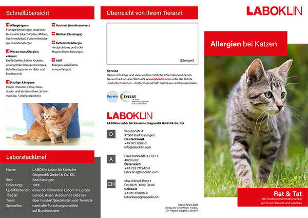allergie katze rat und tat folder 03 26