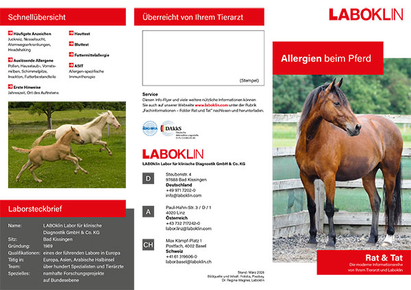 allergie pferd rat und tat folder 03 26