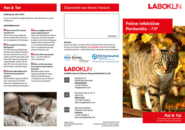 feline infektioese peritonitis rat und tat folder 09 25