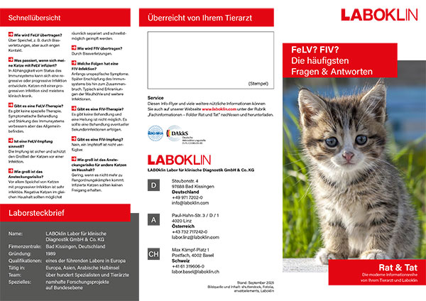 felv fiv rat und tat folder 09 25