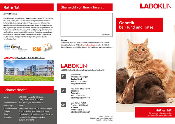 genetik hund katze rat und tat folder 10 25