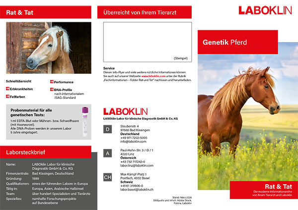 genetik pferd rat und tat folder 03 26