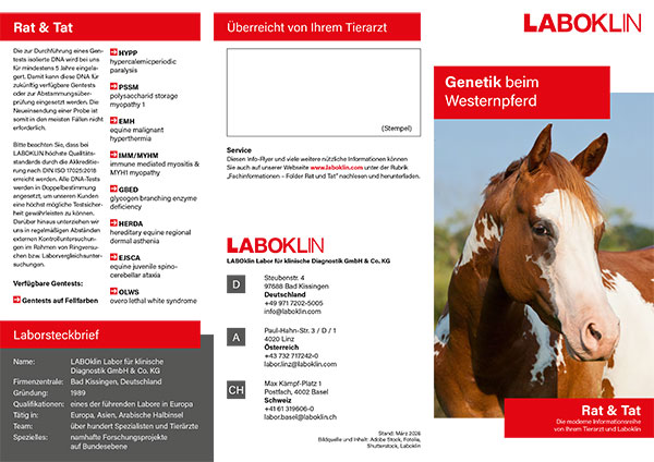 genetik westernpferd rat und tat folder 03 26