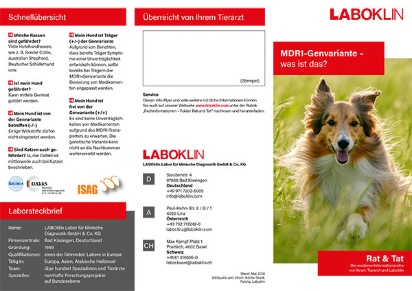 mdr1 genetik rat und tat folder 05 26