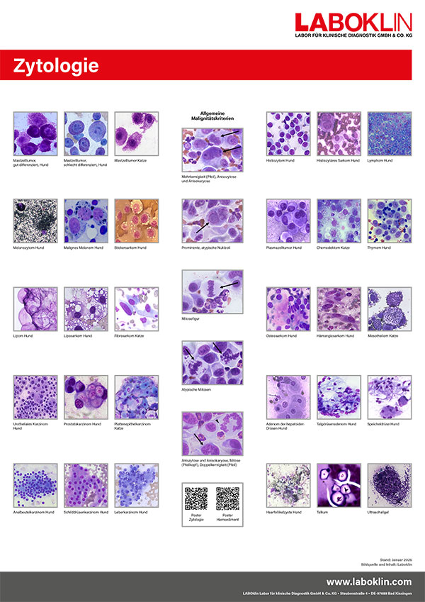 poster zytologie 01 26