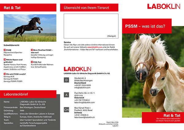 pssm pferd rat und tat folder 03 26