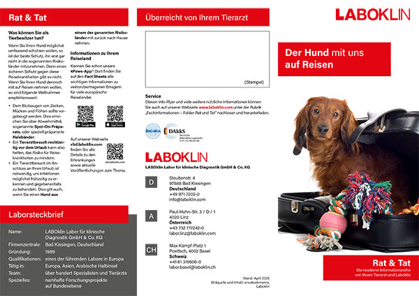 reise hund rat und tat folder 04 25